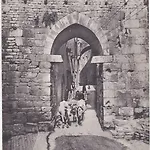 Residenza La Mandorla